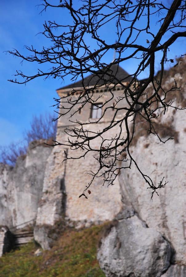 Pokoje Goscinne U Grazyny Ojcow Buitenkant foto