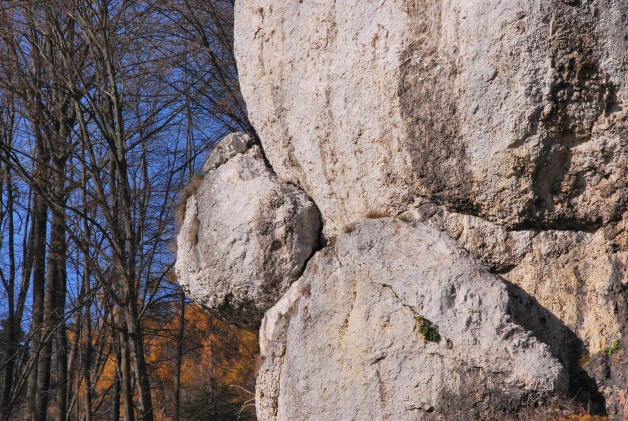 Pokoje Goscinne U Grazyny Ojcow Buitenkant foto