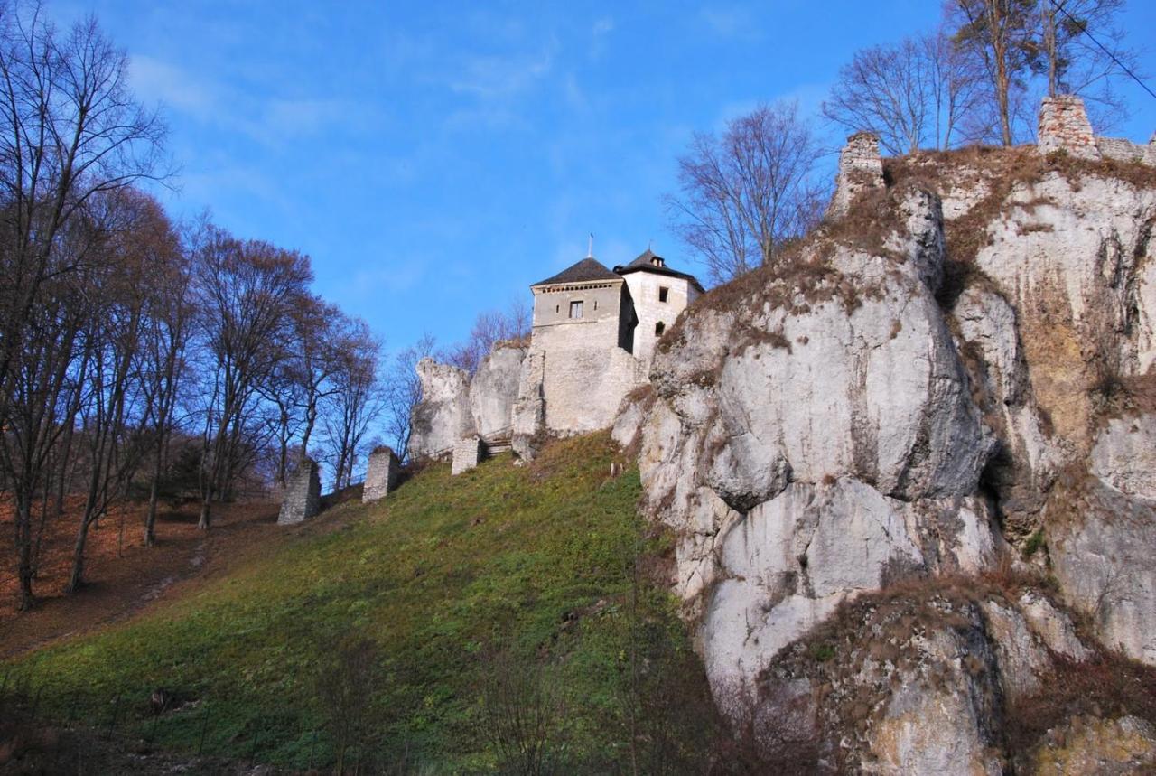 Pokoje Goscinne U Grazyny Ojcow Buitenkant foto