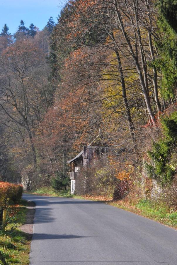 Pokoje Goscinne U Grazyny Ojcow Buitenkant foto